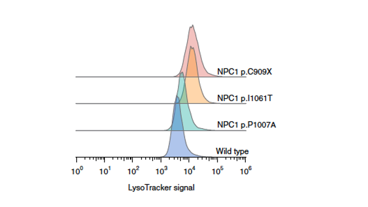 FACS histograms of LysoTracker signal across wild-type and three NPC1 variants (p.P1007A, p.I1061T, p.C909X).